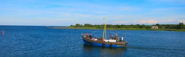 Синий поворот. Что ожидает самую древнюю отрасль Эстонии – рыболовство – в ближайшие годы?