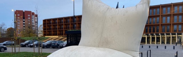 Пеэтер Тамбу: «Заливать бетон – это не шарики надувать» Нарвитяне обеспокоены изменениями в новом символе города