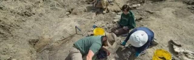 Тайна массового захоронения динозавров в Канаде