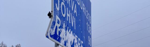 Народные деньги на ветер? Новые дорожные знаки не выдерживают зимы