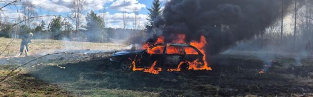 Горели дома, машины и трава: напряжённые выходные для спасателей региона