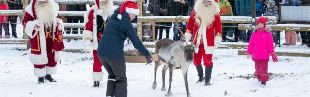 В Таллинне и Нарве ищут добровольцев, готовых стать Дедом Морозом для детей из замещающих семей