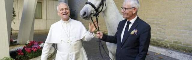 Поляк подарил папе римскому белого коня «под цвет рясы»
