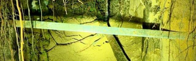 В Польше на границе с Беларусью обнаружены подземные туннели