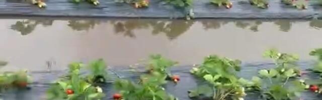 Кылварт призвал Михала прийти на помощь пострадавшему от непогоды аграрному сектору