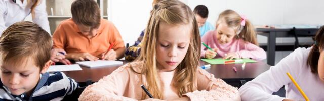 Карьерная лестница для педагогов: как учителя смогут зарабатывать больше и расти профессионально