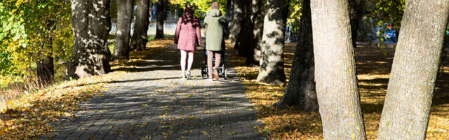 В субботу воздух прогреется до 13 градусов