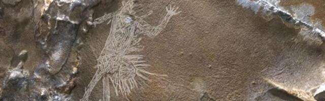 ВИДЕО | В США обнаружена крупнейшая коллекция наскальных рисунков индейцев