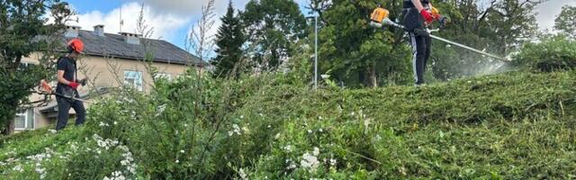 В группах ученической дружины молодые люди получают около 200 евро