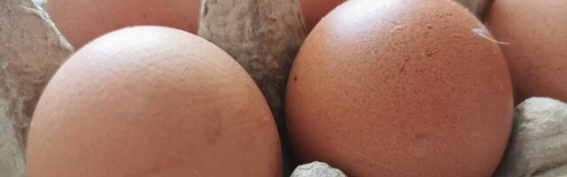 Rimi начинает пилотный проект  по переходу на продажу яиц от кур бесклеточного содержания