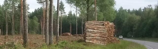 В Эстонии хотят ускорить экологические экспертизы за счет снижения бюрократии