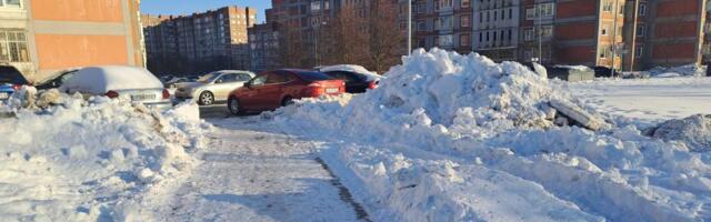 Новое зимнее развлечение