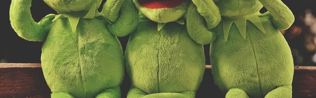 Не убий! Департамент призывает эстонских водителей не давить лягушек на дорогах