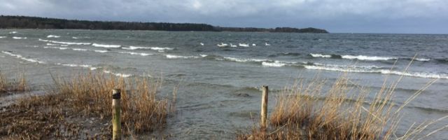 В субботу на острова и западное побережье Эстонии обрушится сильный шторм