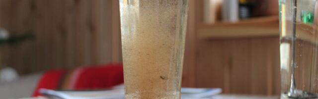 Исследование источников: можно ли в Таллинне употреблять родниковую воду?