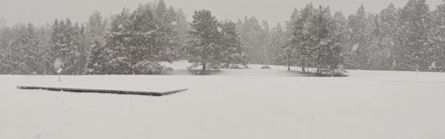 Первый снег: на север Эстонии пришла зима