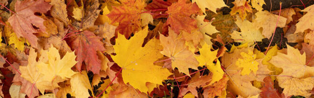 В субботу будет немного дождливо и туманно