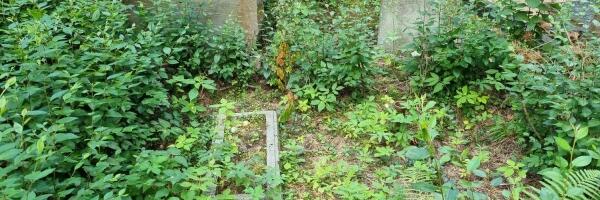 Заброшенные участки на кладбище