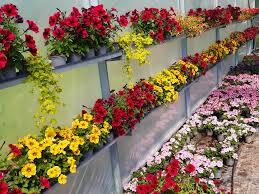 Kanepi Aiand продолжит уход за летними цветниками