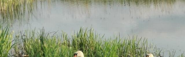 В понедельник возможны кратковременные дожди и до +24