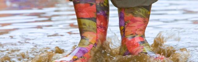 ПРОГНОЗ | На Яанов день пригодятся резиновые сапоги: ожидаются дождь и ветер