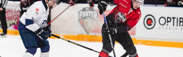 Балтийская хоккейная лига: "Пантер" и "Мого" одержали по победе в двух очных поединках