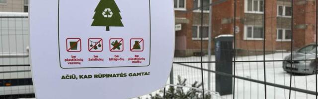 Клайпедчане расстаются с ёлками