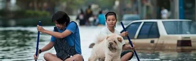 В ООН предупредили, что число разрушительных наводнений в мире будет расти