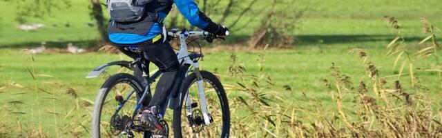 В Виймси пройдёт командное соревнование по велоориентированию — успейте зарегистрироваться