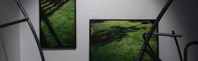 В Fotografiska Tallinn появится новая платформа для начинающих фотохудожников из Эстонии, Латвии, Литвы и Финляндии