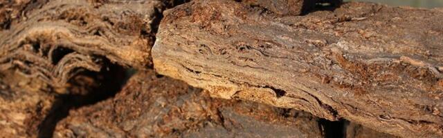 Торфяная фирма планирует сократить большую часть работников