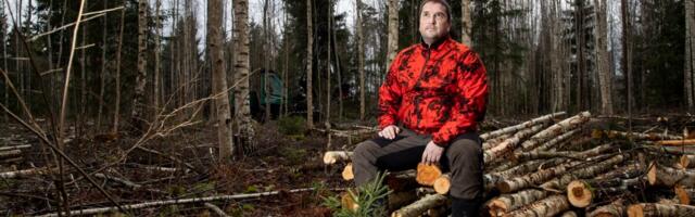 Крупные покупки на паузе: вместо захвата земель большие компании продают лес