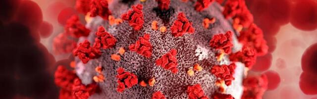 ВОЗ призвала готовиться к ковидному "цунами"