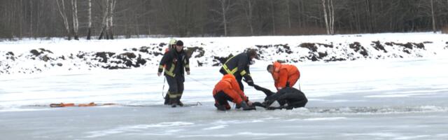 В вторник в водоемах найдены двое погибших