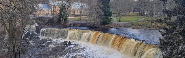 Лучшие водопады Эстонии и не только — природу «прикрывают» для посещений