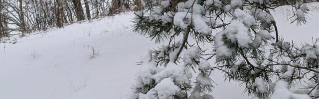 В пятницу местами снегопад, -6...-12