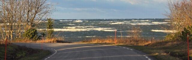 Последствия шторма: улетевшая крыша дома, пожары и упавшие деревья