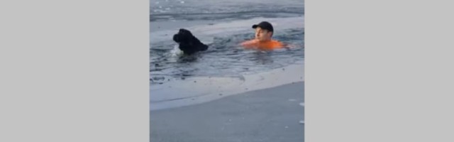 ВИДЕО | Мужчина прыгнул в заледеневшее озеро, чтобы спасти чужую собаку
