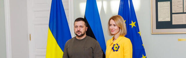 Каллас: Эстония не будет высылать проживающих здесь украинцев мобилизационного возраста