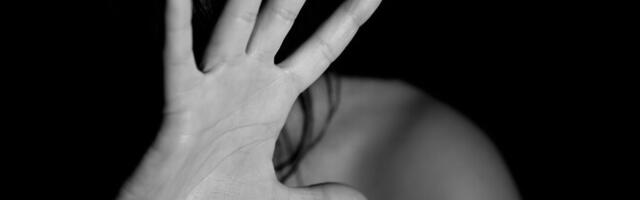 В Международный день прав человека у Рийгикогу зачитывают сводки о случаях домашнего насилия