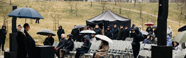 В зеленой зоне мемориала жертвам коммунизма на Маарьямяги погибла часть яблонь