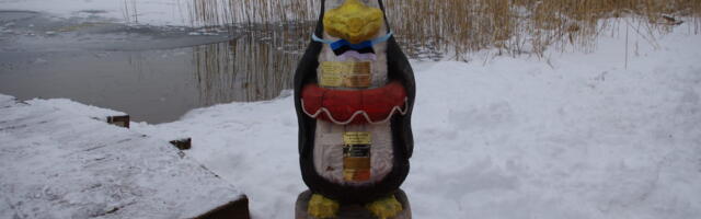 Галерея: Парад пингвинов 24.02.2023