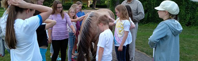 Где четверо и более детей