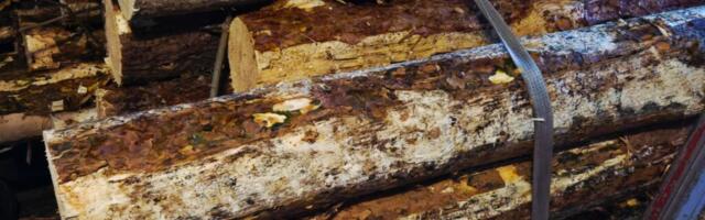 Эстония препятствует тому, чтобы российская древесина проникала через третьи страны