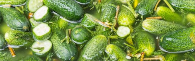 Совет аптекаря: как повысить сопротивляемость организма и ускорить обмен веществ