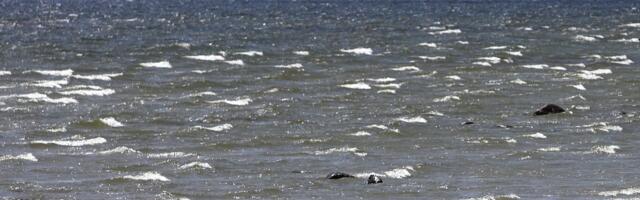 На Сааремаа утонул 50-летний мужчина