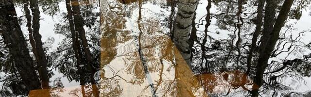 ФОТО: туристическая тропа Селисоо частично находится под водой