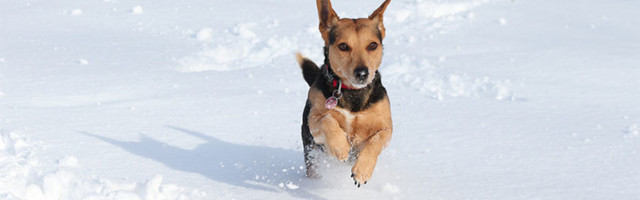4 рекомендации, как получить максимум от зимних развлечений