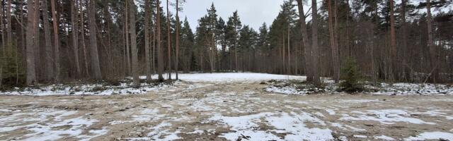 Инспекторам по охране окружающей среды разрешат применять газовое оружие, дубинку и наручники