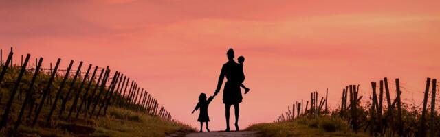 СОЦИУМ ⟩ Ирина Бутяева: Брак-развод, пирамида Маслоу, дети и семейный примиритель